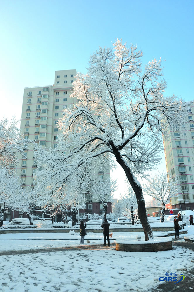 劉煥森-1-家園瑞雪